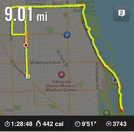 9 mile long run